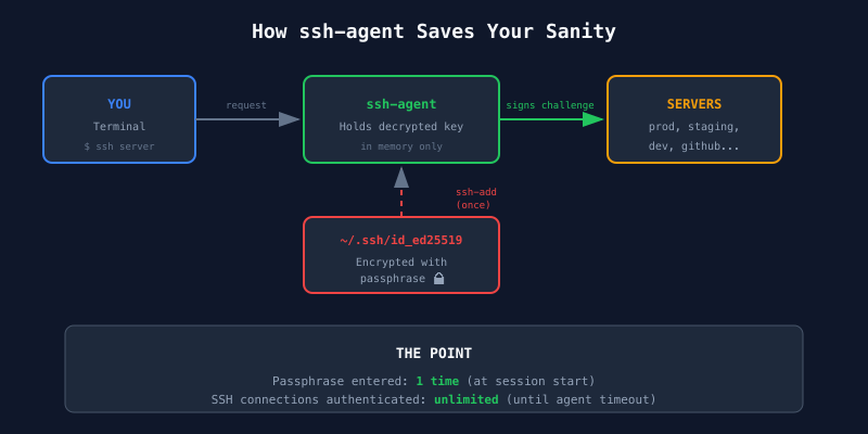 How ssh-agent caches your decrypted key in memory